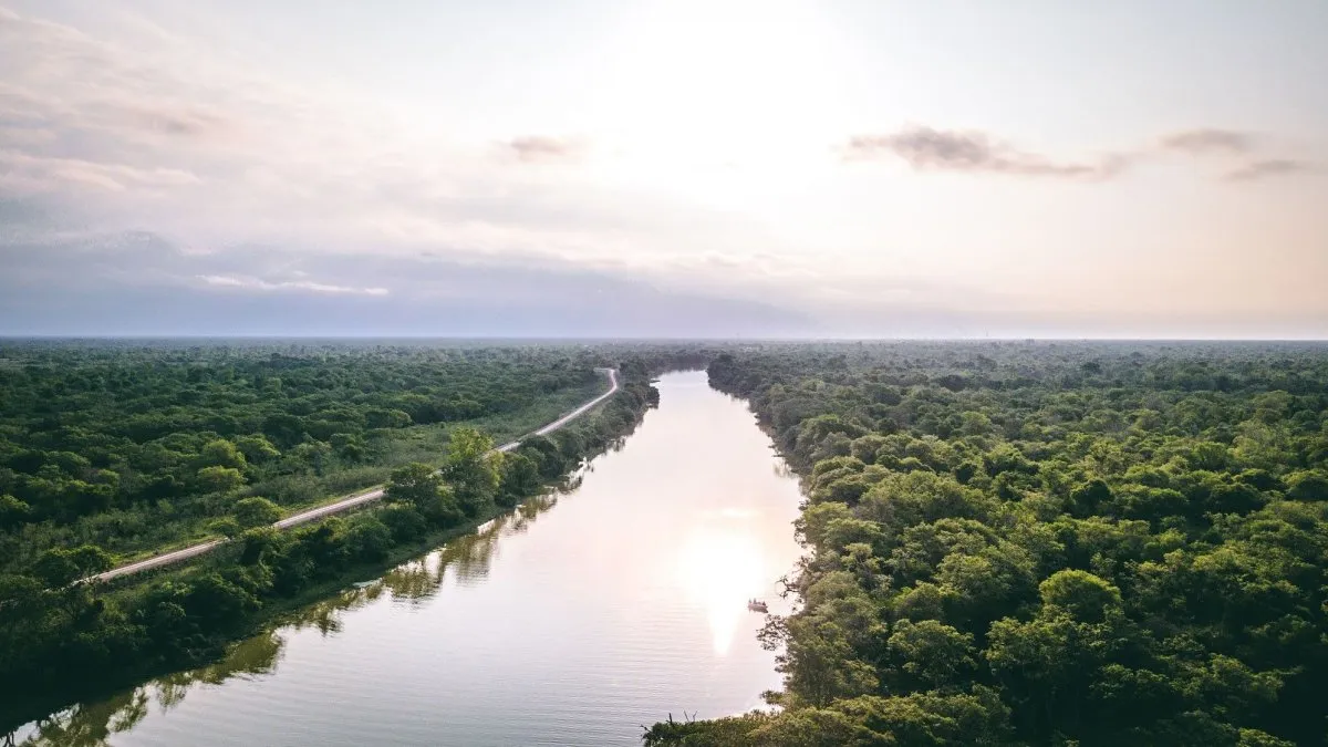 Qué hacer en Provincia de Chaco